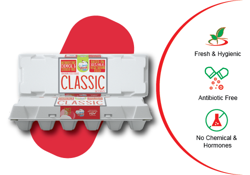 16 classic banner 500-350-01